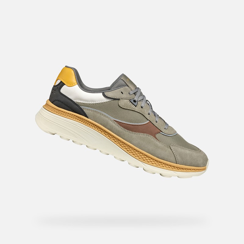 Sneaker - GEOX
