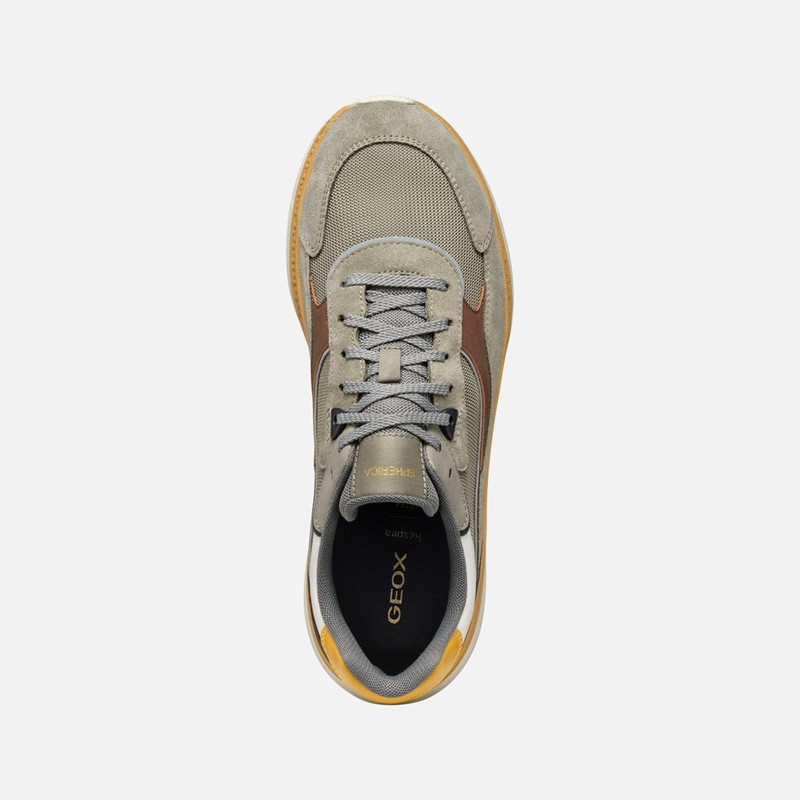 Sneaker - GEOX