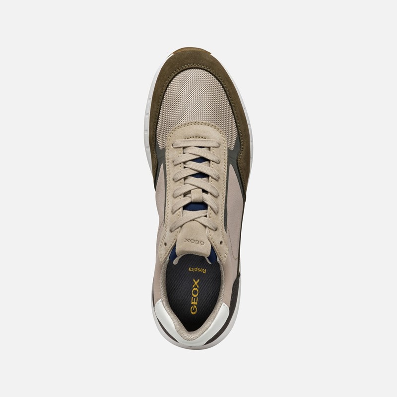 Sneaker - GEOX